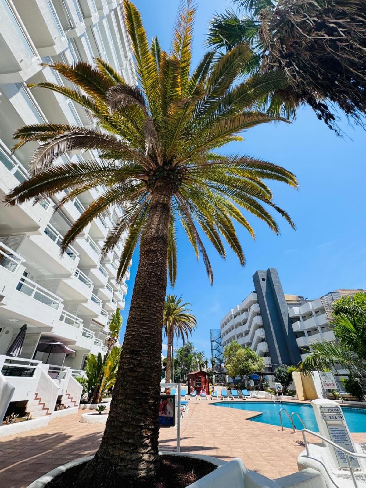 Jameo De Agua, Las Americas Studio Sea View Playa Feñabe Extérieur photo