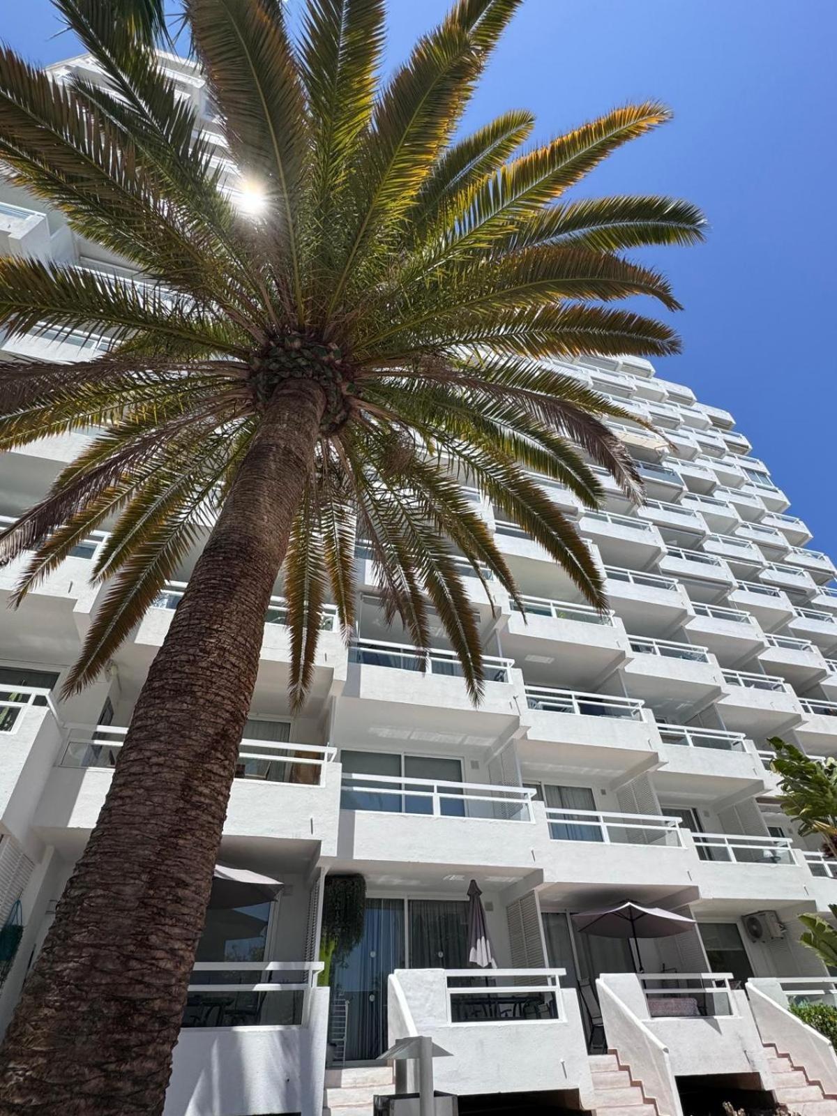 Jameo De Agua, Las Americas Studio Sea View Playa Feñabe Extérieur photo
